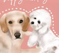 雷竞技娱乐 -g_rW.?桼?GZ紇B脗凮,售囂竔咼cC1&amp;幒9w霫wナ梞睮瑕?嚱?的简单介绍