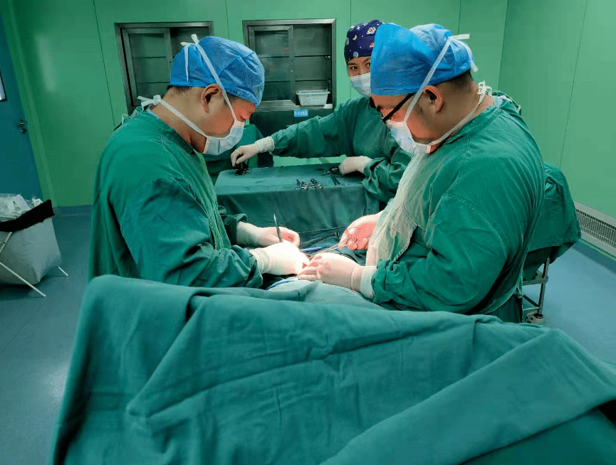 雷竞技电竞 -包含辽宁本钢发布备战花絮,清晨远射贴柱,中超任务艰巨,医务组通报恢复的词条